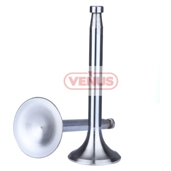 Engine_valve